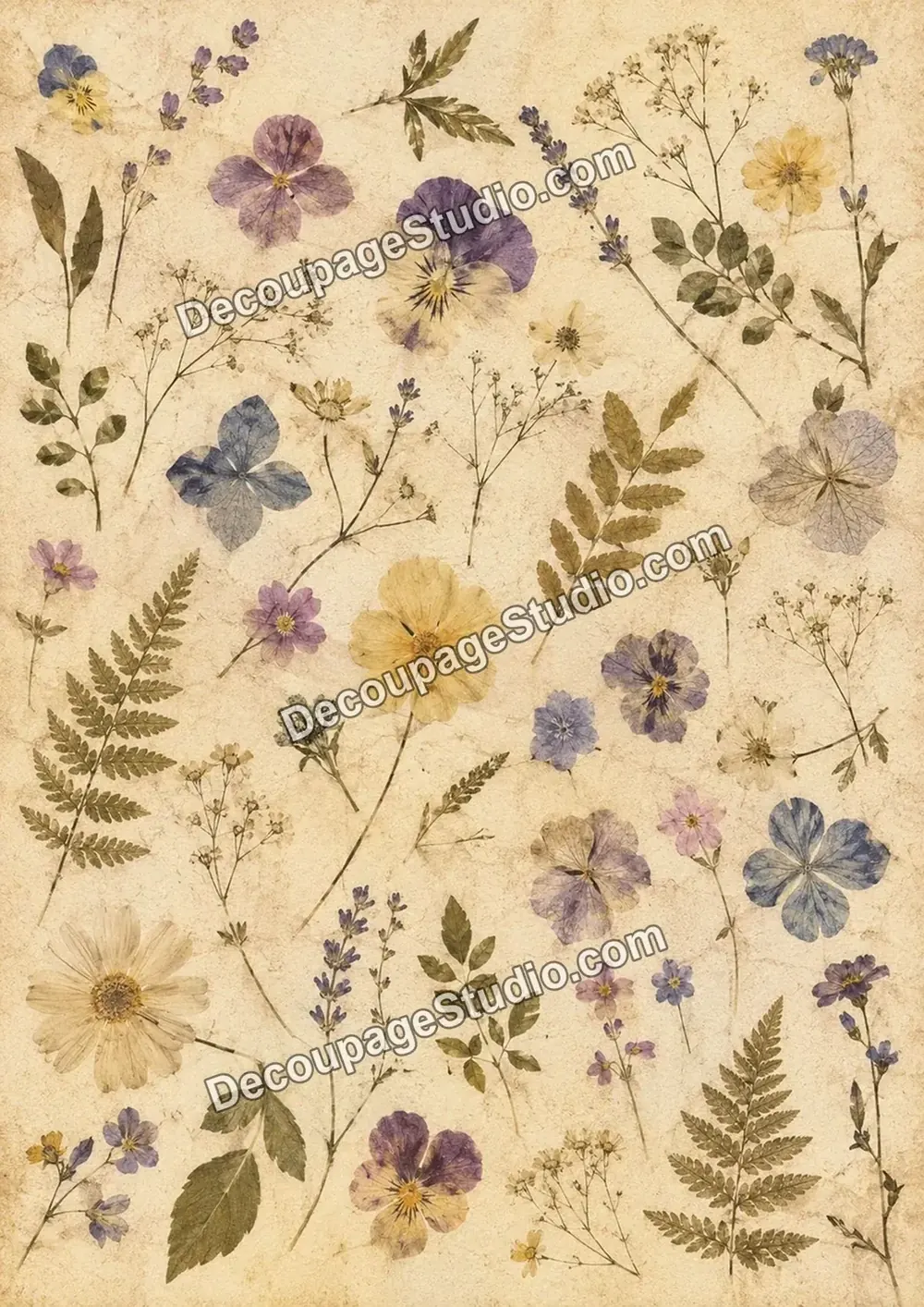 Pressed pansies, lavender, wildflowers, leaves, and ferns arranged on aged parchment
